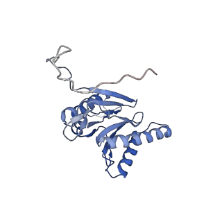 7010_6avo_B_v1-1
Cryo-EM structure of human immunoproteasome with a novel noncompetitive inhibitor that selectively inhibits activated lymphocytes