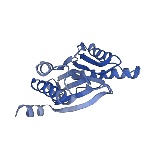 7010_6avo_C_v1-1
Cryo-EM structure of human immunoproteasome with a novel noncompetitive inhibitor that selectively inhibits activated lymphocytes