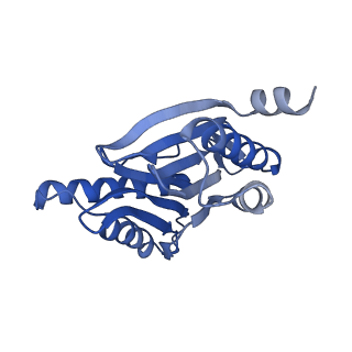 7010_6avo_D_v1-1
Cryo-EM structure of human immunoproteasome with a novel noncompetitive inhibitor that selectively inhibits activated lymphocytes