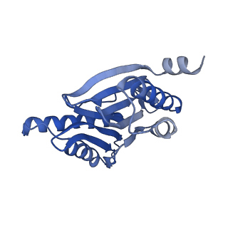 7010_6avo_D_v1-2
Cryo-EM structure of human immunoproteasome with a novel noncompetitive inhibitor that selectively inhibits activated lymphocytes