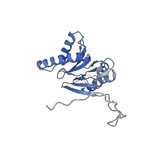 7010_6avo_E_v1-1
Cryo-EM structure of human immunoproteasome with a novel noncompetitive inhibitor that selectively inhibits activated lymphocytes