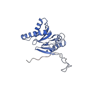 7010_6avo_E_v1-2
Cryo-EM structure of human immunoproteasome with a novel noncompetitive inhibitor that selectively inhibits activated lymphocytes