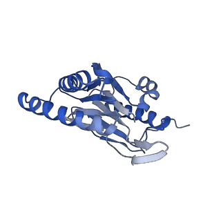 7010_6avo_F_v1-1
Cryo-EM structure of human immunoproteasome with a novel noncompetitive inhibitor that selectively inhibits activated lymphocytes