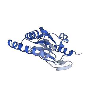 7010_6avo_F_v1-2
Cryo-EM structure of human immunoproteasome with a novel noncompetitive inhibitor that selectively inhibits activated lymphocytes