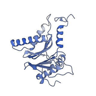 7010_6avo_G_v1-1
Cryo-EM structure of human immunoproteasome with a novel noncompetitive inhibitor that selectively inhibits activated lymphocytes