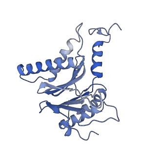 7010_6avo_G_v1-2
Cryo-EM structure of human immunoproteasome with a novel noncompetitive inhibitor that selectively inhibits activated lymphocytes