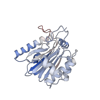 7010_6avo_H_v1-1
Cryo-EM structure of human immunoproteasome with a novel noncompetitive inhibitor that selectively inhibits activated lymphocytes