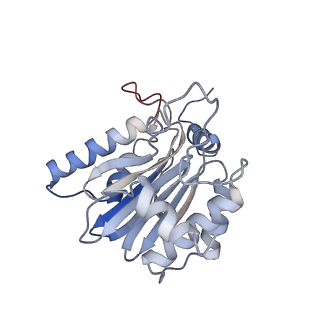 7010_6avo_H_v1-2
Cryo-EM structure of human immunoproteasome with a novel noncompetitive inhibitor that selectively inhibits activated lymphocytes