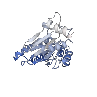 7010_6avo_I_v1-1
Cryo-EM structure of human immunoproteasome with a novel noncompetitive inhibitor that selectively inhibits activated lymphocytes