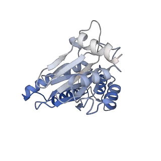 7010_6avo_I_v1-2
Cryo-EM structure of human immunoproteasome with a novel noncompetitive inhibitor that selectively inhibits activated lymphocytes