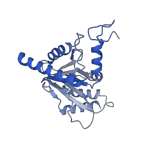 7010_6avo_J_v1-1
Cryo-EM structure of human immunoproteasome with a novel noncompetitive inhibitor that selectively inhibits activated lymphocytes