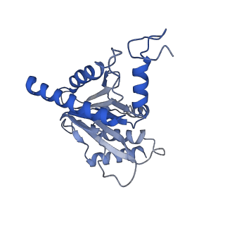 7010_6avo_J_v1-2
Cryo-EM structure of human immunoproteasome with a novel noncompetitive inhibitor that selectively inhibits activated lymphocytes