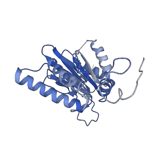 7010_6avo_K_v1-1
Cryo-EM structure of human immunoproteasome with a novel noncompetitive inhibitor that selectively inhibits activated lymphocytes