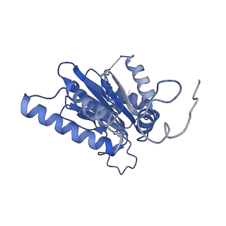 7010_6avo_K_v1-2
Cryo-EM structure of human immunoproteasome with a novel noncompetitive inhibitor that selectively inhibits activated lymphocytes