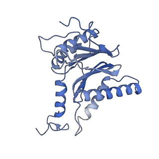 7010_6avo_L_v1-1
Cryo-EM structure of human immunoproteasome with a novel noncompetitive inhibitor that selectively inhibits activated lymphocytes