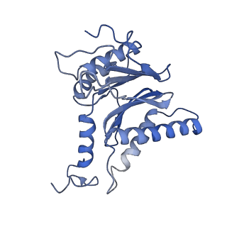 7010_6avo_L_v1-2
Cryo-EM structure of human immunoproteasome with a novel noncompetitive inhibitor that selectively inhibits activated lymphocytes