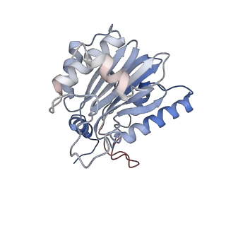 7010_6avo_M_v1-1
Cryo-EM structure of human immunoproteasome with a novel noncompetitive inhibitor that selectively inhibits activated lymphocytes