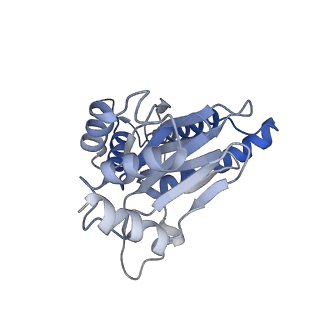 7010_6avo_N_v1-1
Cryo-EM structure of human immunoproteasome with a novel noncompetitive inhibitor that selectively inhibits activated lymphocytes