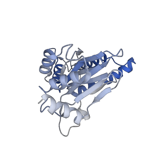 7010_6avo_N_v1-2
Cryo-EM structure of human immunoproteasome with a novel noncompetitive inhibitor that selectively inhibits activated lymphocytes