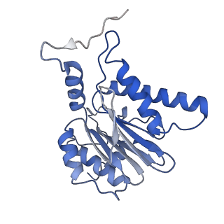 7010_6avo_P_v1-1
Cryo-EM structure of human immunoproteasome with a novel noncompetitive inhibitor that selectively inhibits activated lymphocytes