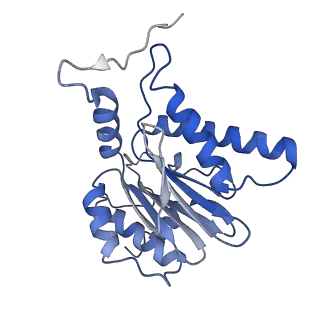 7010_6avo_P_v1-2
Cryo-EM structure of human immunoproteasome with a novel noncompetitive inhibitor that selectively inhibits activated lymphocytes