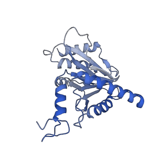 7010_6avo_Q_v1-1
Cryo-EM structure of human immunoproteasome with a novel noncompetitive inhibitor that selectively inhibits activated lymphocytes