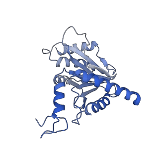 7010_6avo_Q_v1-2
Cryo-EM structure of human immunoproteasome with a novel noncompetitive inhibitor that selectively inhibits activated lymphocytes