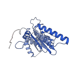 7010_6avo_R_v1-1
Cryo-EM structure of human immunoproteasome with a novel noncompetitive inhibitor that selectively inhibits activated lymphocytes