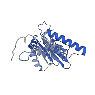 7010_6avo_R_v1-2
Cryo-EM structure of human immunoproteasome with a novel noncompetitive inhibitor that selectively inhibits activated lymphocytes