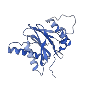 7010_6avo_S_v1-1
Cryo-EM structure of human immunoproteasome with a novel noncompetitive inhibitor that selectively inhibits activated lymphocytes