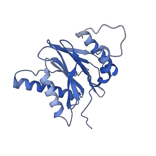 7010_6avo_S_v1-2
Cryo-EM structure of human immunoproteasome with a novel noncompetitive inhibitor that selectively inhibits activated lymphocytes