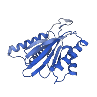 7010_6avo_T_v1-1
Cryo-EM structure of human immunoproteasome with a novel noncompetitive inhibitor that selectively inhibits activated lymphocytes