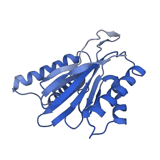 7010_6avo_T_v1-2
Cryo-EM structure of human immunoproteasome with a novel noncompetitive inhibitor that selectively inhibits activated lymphocytes
