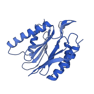 7010_6avo_U_v1-1
Cryo-EM structure of human immunoproteasome with a novel noncompetitive inhibitor that selectively inhibits activated lymphocytes