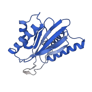 7010_6avo_V_v1-1
Cryo-EM structure of human immunoproteasome with a novel noncompetitive inhibitor that selectively inhibits activated lymphocytes