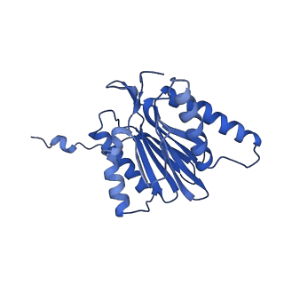 7010_6avo_W_v1-1
Cryo-EM structure of human immunoproteasome with a novel noncompetitive inhibitor that selectively inhibits activated lymphocytes
