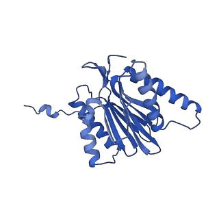 7010_6avo_W_v1-2
Cryo-EM structure of human immunoproteasome with a novel noncompetitive inhibitor that selectively inhibits activated lymphocytes