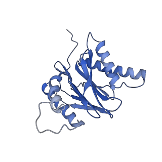7010_6avo_X_v1-1
Cryo-EM structure of human immunoproteasome with a novel noncompetitive inhibitor that selectively inhibits activated lymphocytes