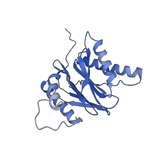 7010_6avo_X_v1-2
Cryo-EM structure of human immunoproteasome with a novel noncompetitive inhibitor that selectively inhibits activated lymphocytes