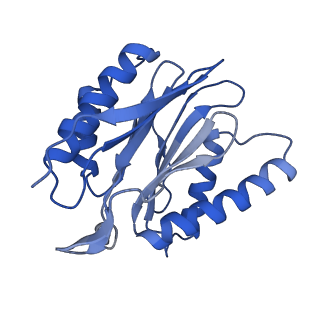 7010_6avo_Y_v1-1
Cryo-EM structure of human immunoproteasome with a novel noncompetitive inhibitor that selectively inhibits activated lymphocytes