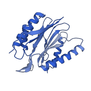 7010_6avo_Y_v1-2
Cryo-EM structure of human immunoproteasome with a novel noncompetitive inhibitor that selectively inhibits activated lymphocytes