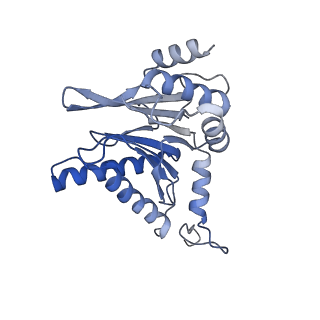 7010_6avo_Z_v1-1
Cryo-EM structure of human immunoproteasome with a novel noncompetitive inhibitor that selectively inhibits activated lymphocytes