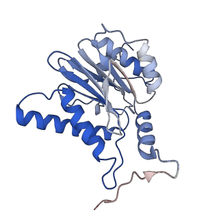 7010_6avo_b_v1-1
Cryo-EM structure of human immunoproteasome with a novel noncompetitive inhibitor that selectively inhibits activated lymphocytes
