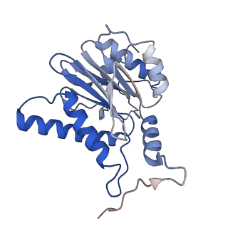 7010_6avo_b_v1-2
Cryo-EM structure of human immunoproteasome with a novel noncompetitive inhibitor that selectively inhibits activated lymphocytes