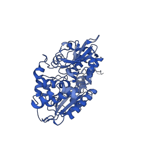 11930_7awt_F_v1-2
E. coli NADH quinone oxidoreductase hydrophilic arm
