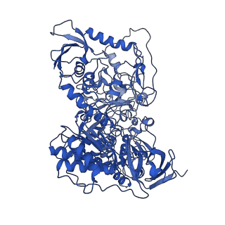 11930_7awt_G_v1-2
E. coli NADH quinone oxidoreductase hydrophilic arm