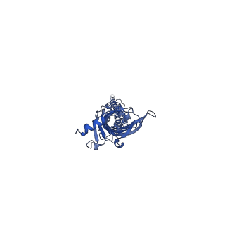 15689_8aw2_C_v1-0
Mouse serotonin 5-HT3A receptor in complex with vortioxetine