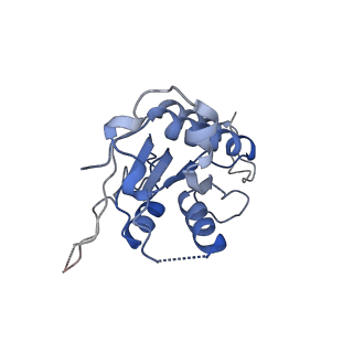15690_8aw3_2_v1-1
Cryo-EM structure of the Tb ADAT2/3 deaminase in complex with tRNA