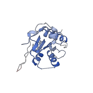 15690_8aw3_2_v1-2
Cryo-EM structure of the Tb ADAT2/3 deaminase in complex with tRNA