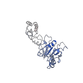 15690_8aw3_3_v1-1
Cryo-EM structure of the Tb ADAT2/3 deaminase in complex with tRNA